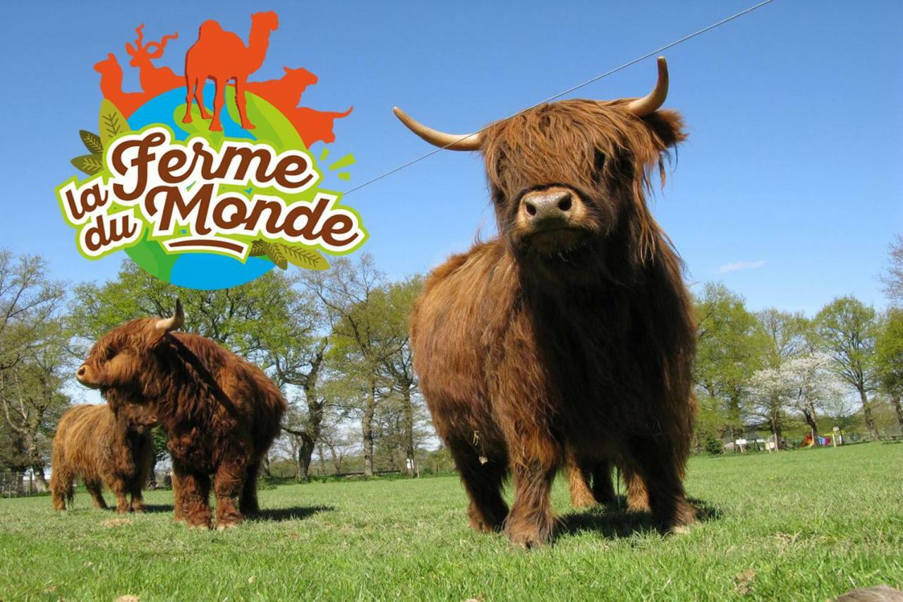 Popote Et Polochon Bed and Breakfast Saint-Martin-sur-Oust Buitenkant foto