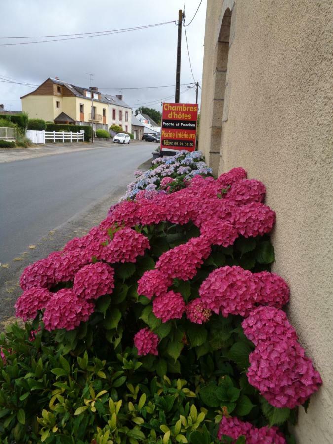 Popote Et Polochon Bed and Breakfast Saint-Martin-sur-Oust Buitenkant foto